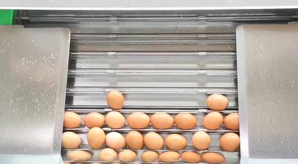 04-水中上蛋機設備