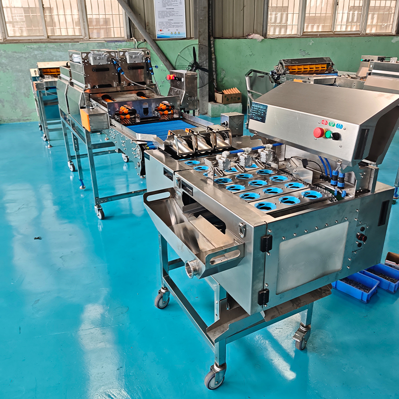 三排蛋品處理組合生產(chǎn)線