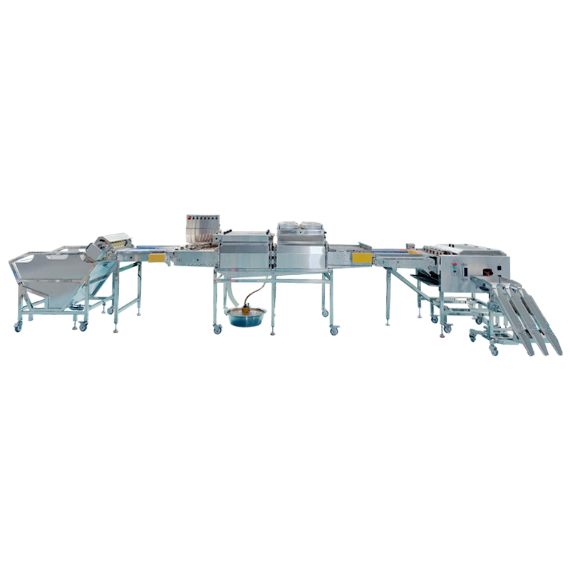 四排蛋品處理組合生產(chǎn)線