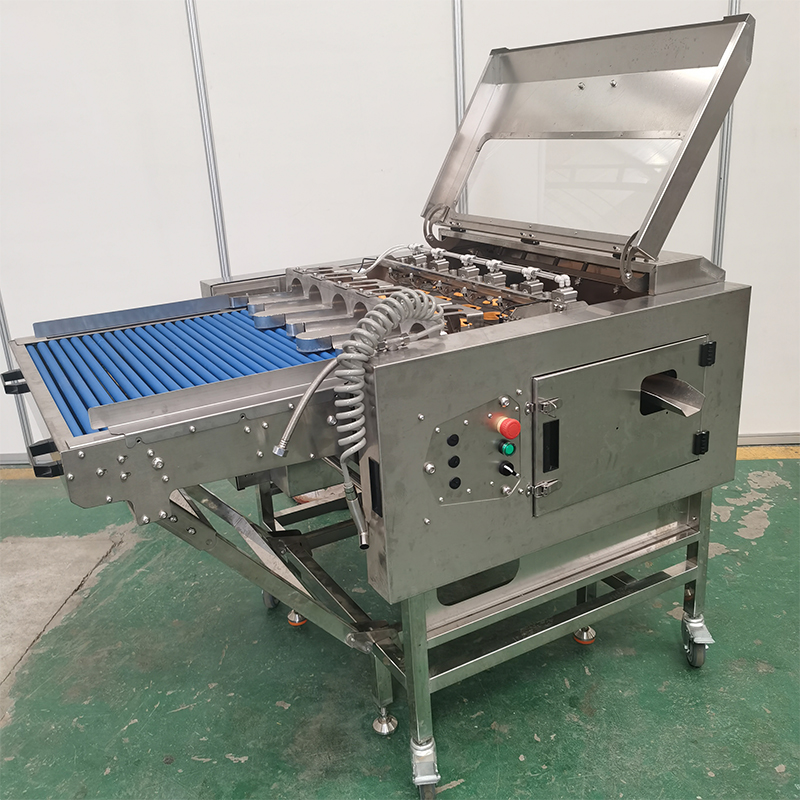 六排敲蛋機(jī)