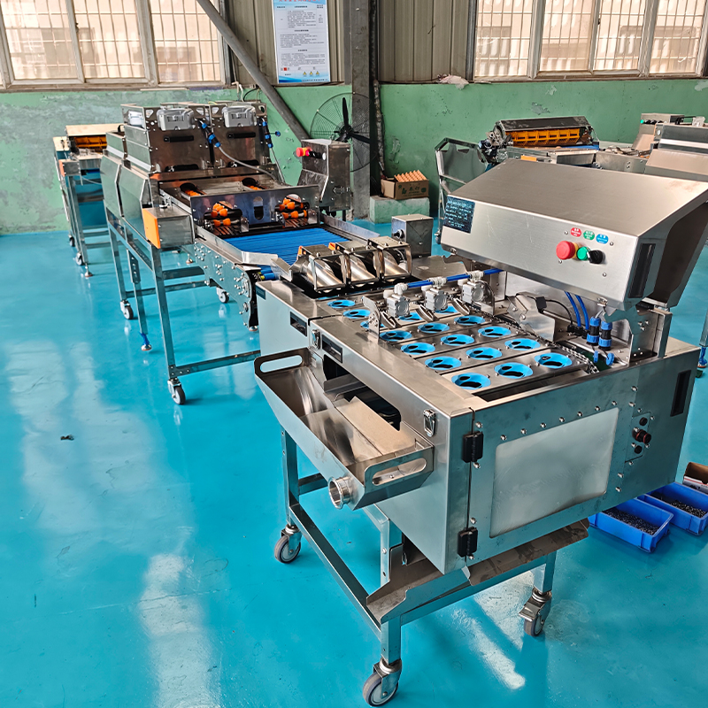 雙軌三排清洗烘干殺菌光檢敲蛋生產(chǎn)線