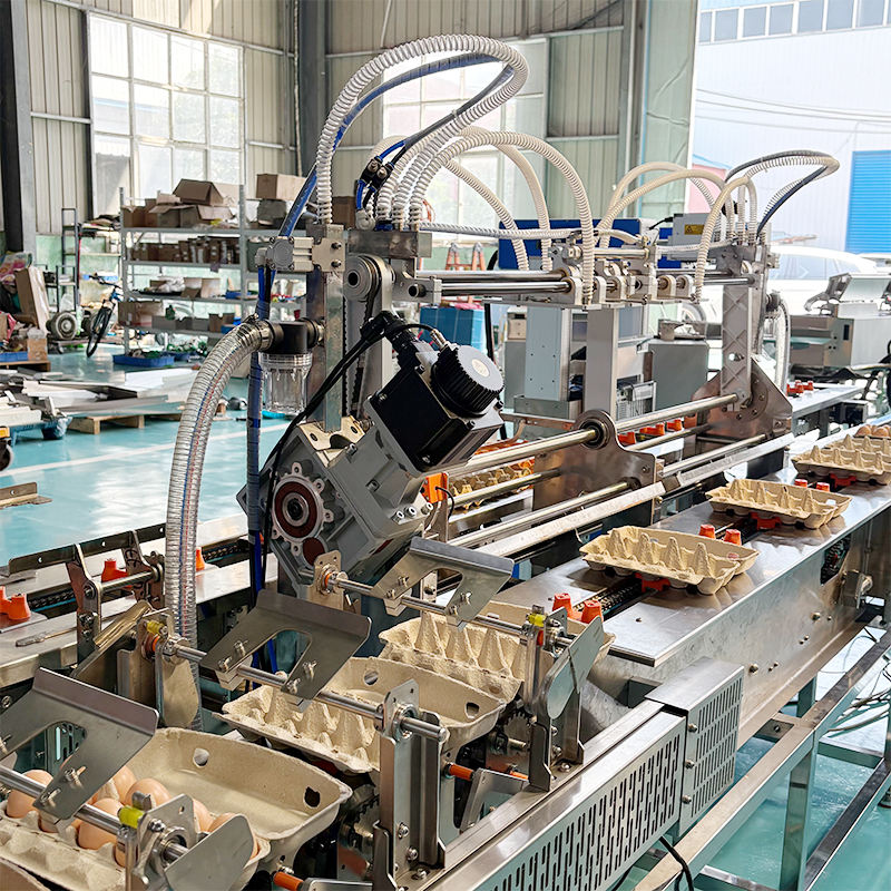 雞蛋打碼裝盒生產(chǎn)線