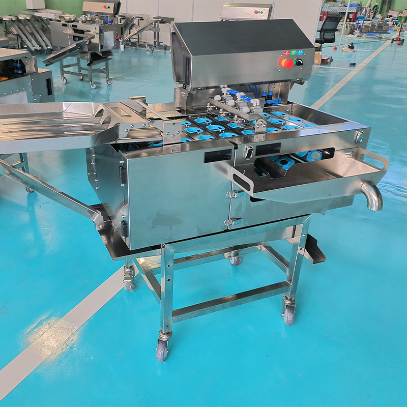 03-三排敲蛋機-磕蛋機-破蛋機