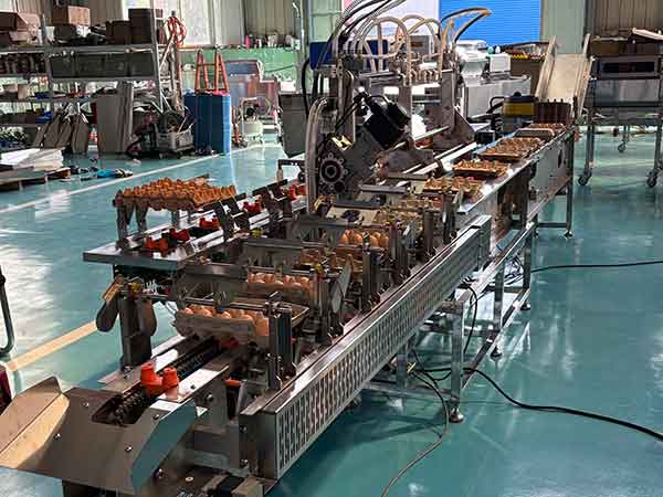 托裝蛋打碼裝盒機