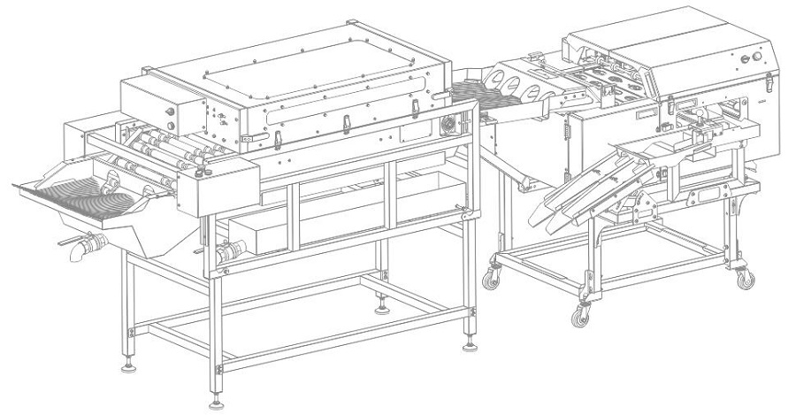 洗蛋+四排敲蛋機組合生產(chǎn)線