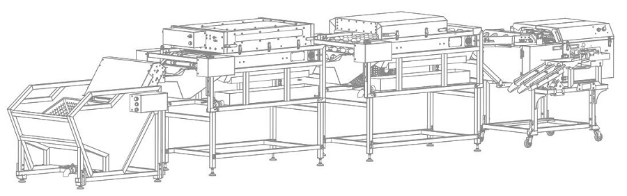 上蛋+洗蛋+烘干+四排敲蛋機組合生產(chǎn)線