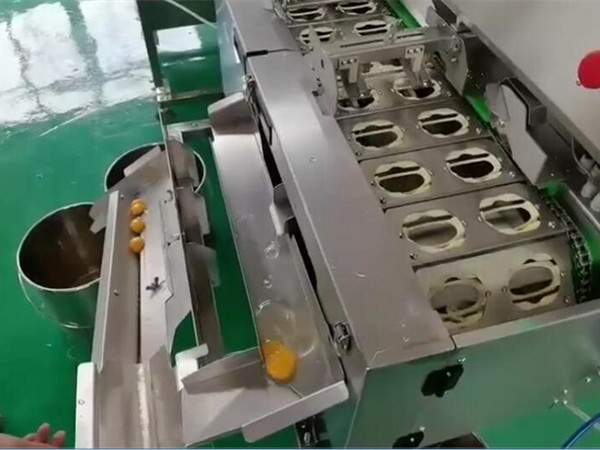 蛋清蛋黃分離機(jī)